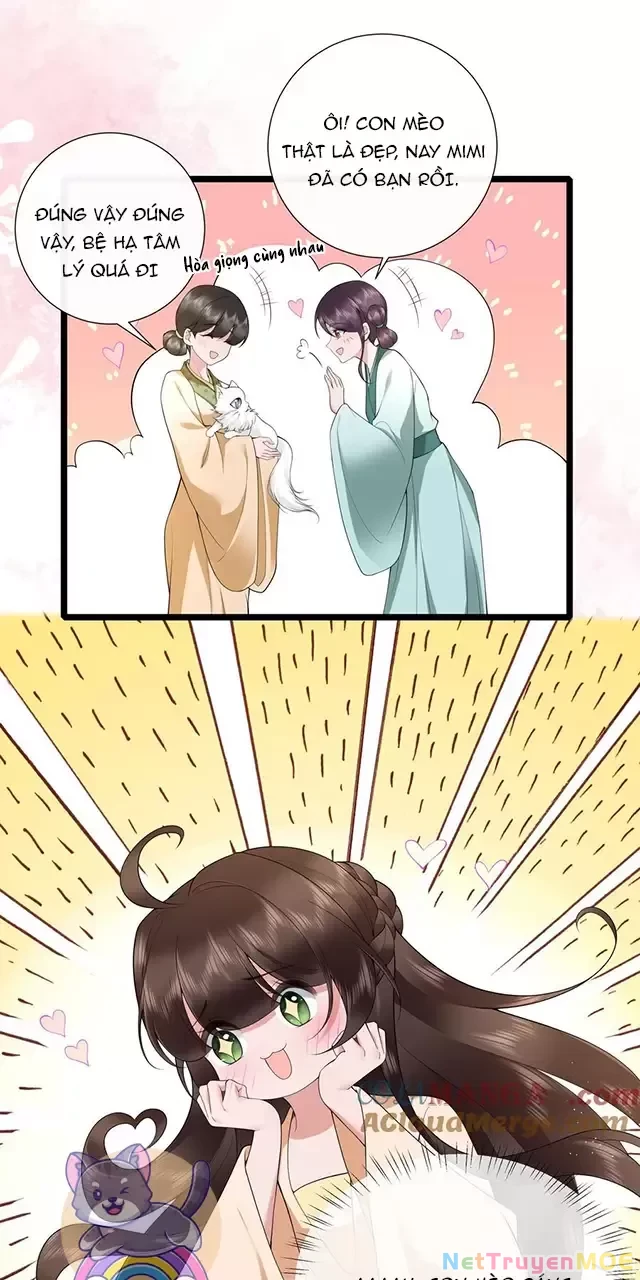 Không Biết Bệ Hạ Là Một Tiểu Cô Nương Chapter 44 - 18