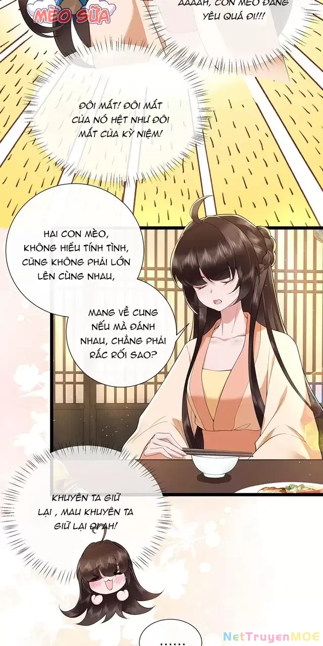 Không Biết Bệ Hạ Là Một Tiểu Cô Nương Chapter 44 - 19