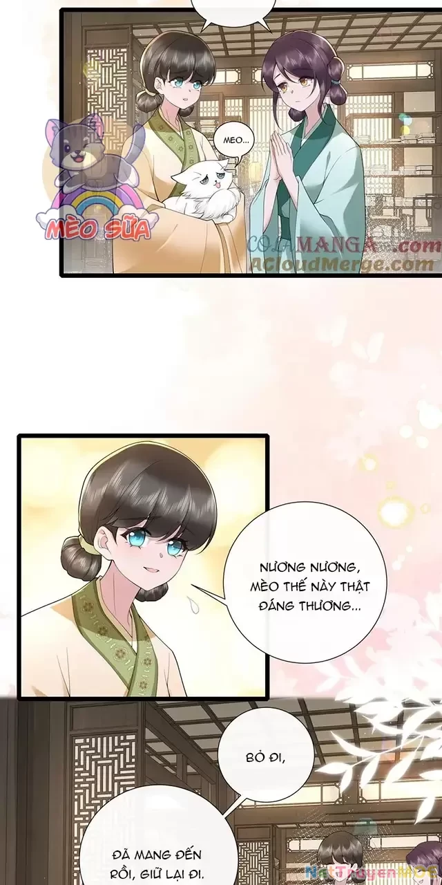 Không Biết Bệ Hạ Là Một Tiểu Cô Nương Chapter 44 - 20