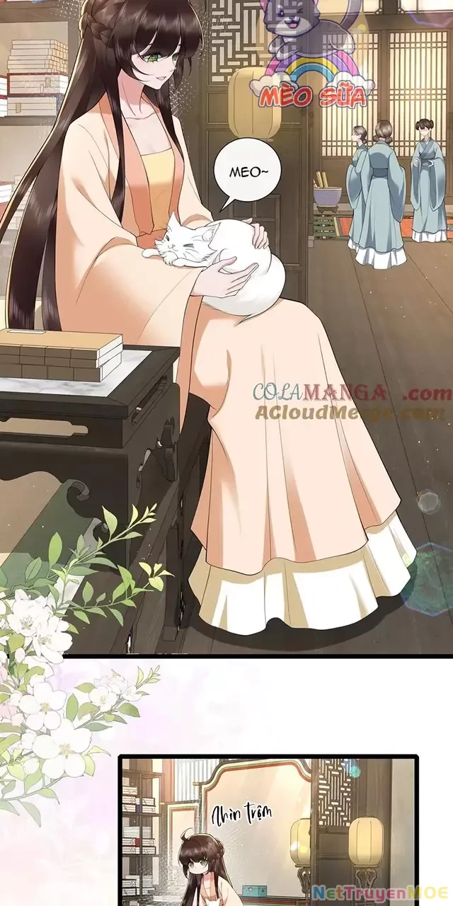 Không Biết Bệ Hạ Là Một Tiểu Cô Nương Chapter 44 - 22