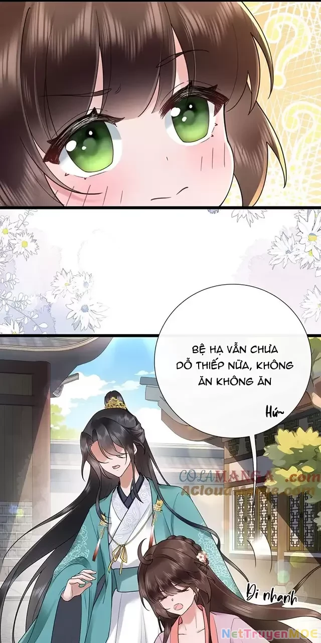 Không Biết Bệ Hạ Là Một Tiểu Cô Nương Chapter 50 - 20