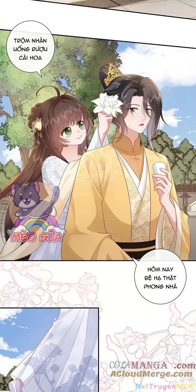 Không Biết Bệ Hạ Là Một Tiểu Cô Nương Chapter 56 - 15