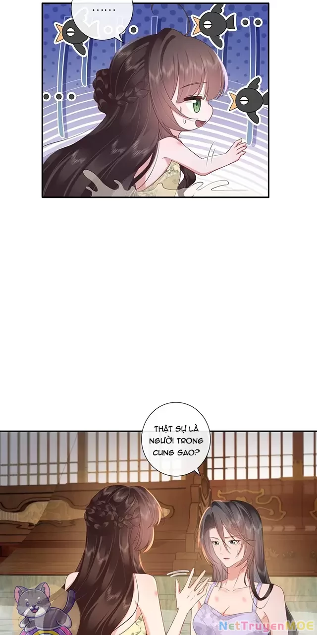 Không Biết Bệ Hạ Là Một Tiểu Cô Nương Chapter 71 - 15