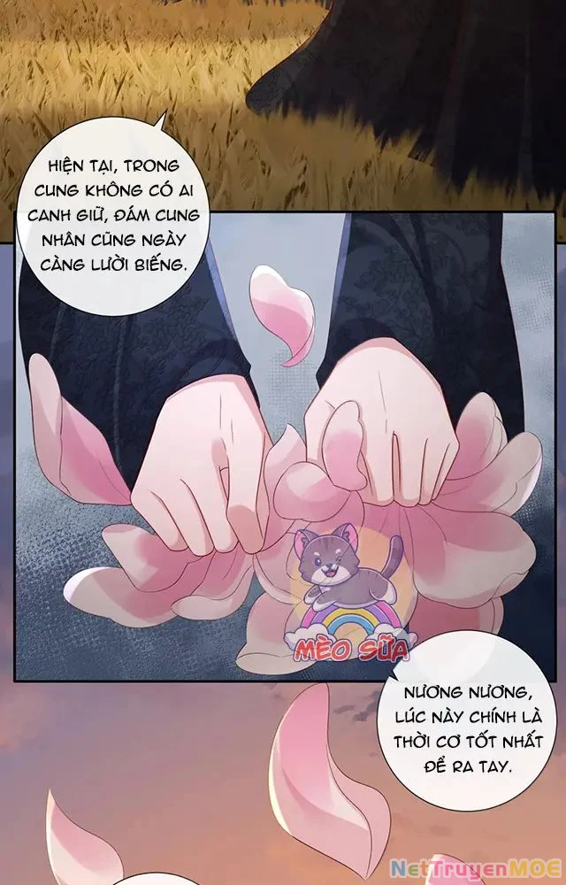 Không Biết Bệ Hạ Là Một Tiểu Cô Nương Chapter 80 - 12