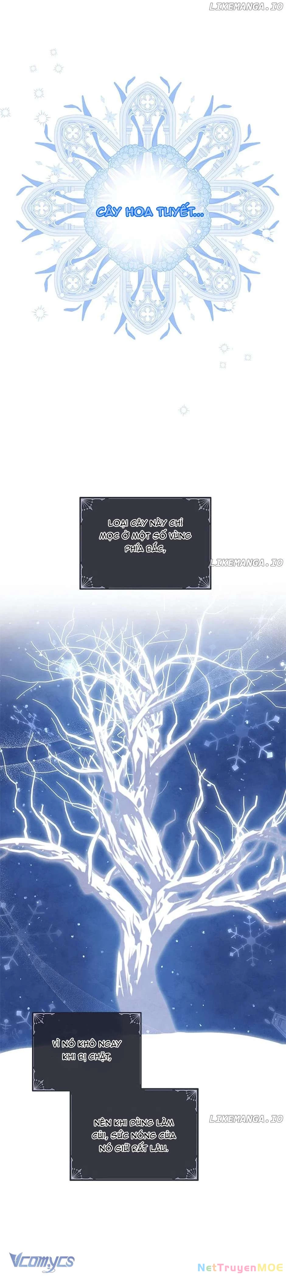 Hãy Ủng Hộ Kế Hoạch Trả Thù Của Tôi Chapter 63 - 3