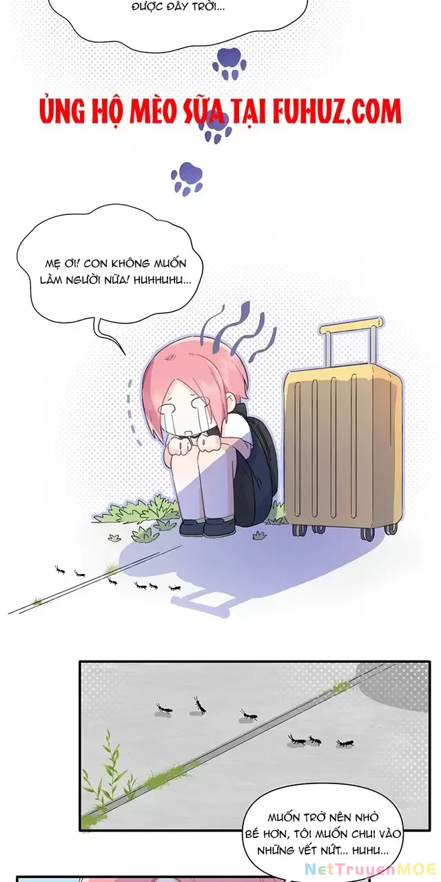 Tình Yêu Đã Cho Tôi Siêu Năng Lực Chapter 8 - 18