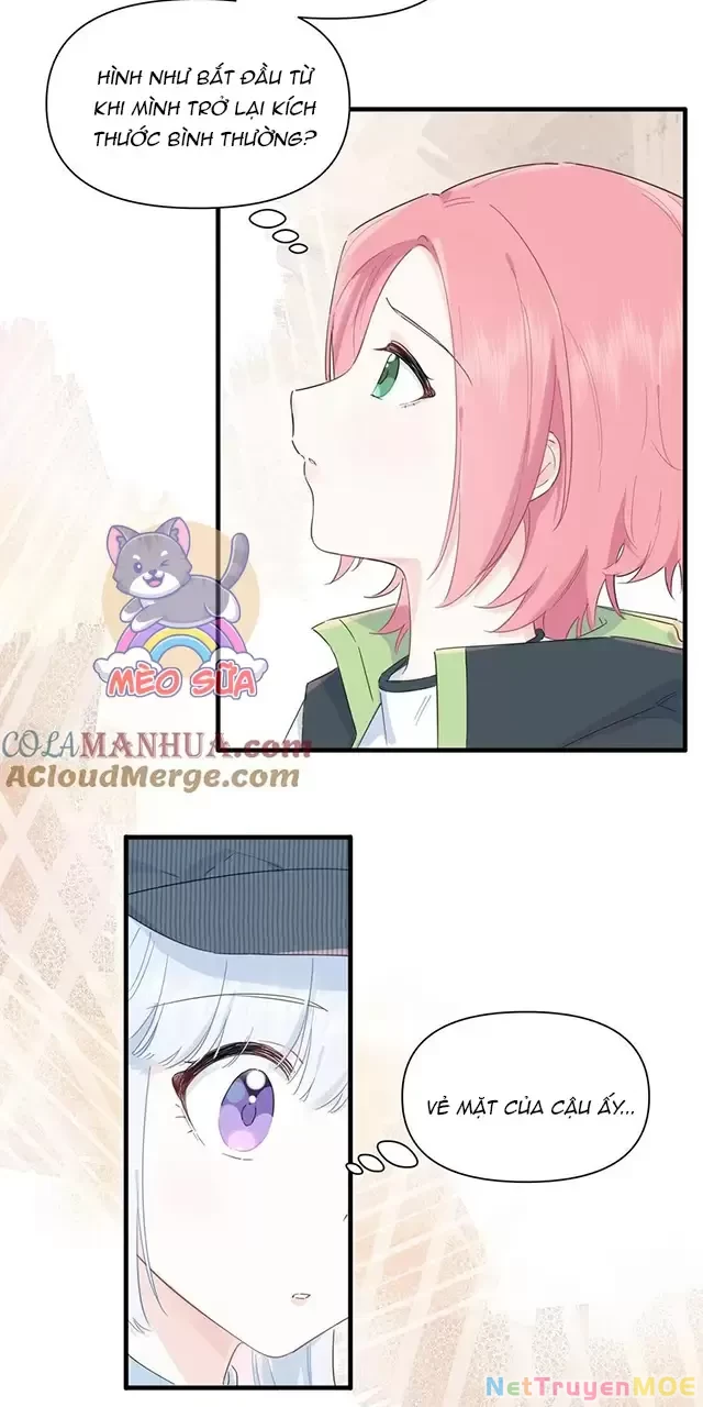Tình Yêu Đã Cho Tôi Siêu Năng Lực Chapter 19 - 4