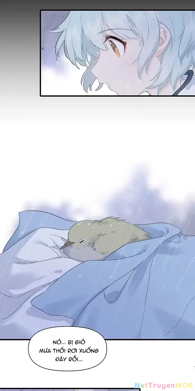 Tình Yêu Đã Cho Tôi Siêu Năng Lực Chapter 33 - 17