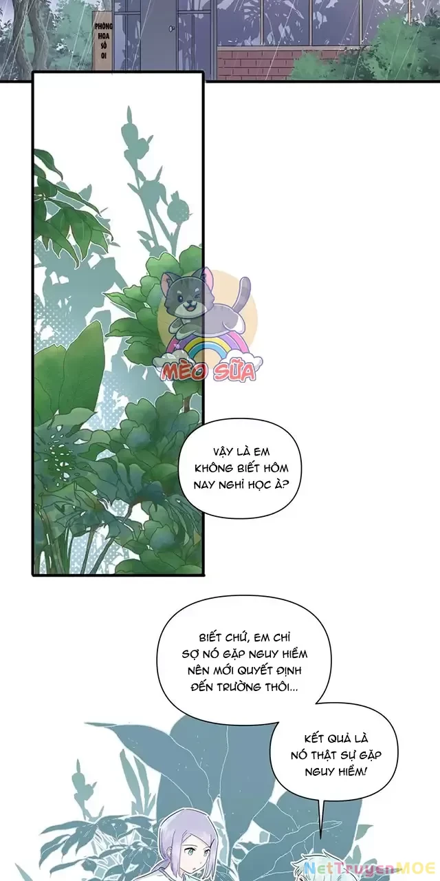 Tình Yêu Đã Cho Tôi Siêu Năng Lực Chapter 33 - 20