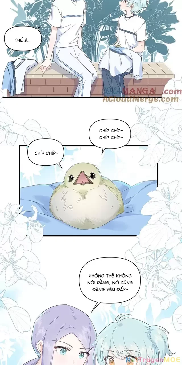 Tình Yêu Đã Cho Tôi Siêu Năng Lực Chapter 33 - 21