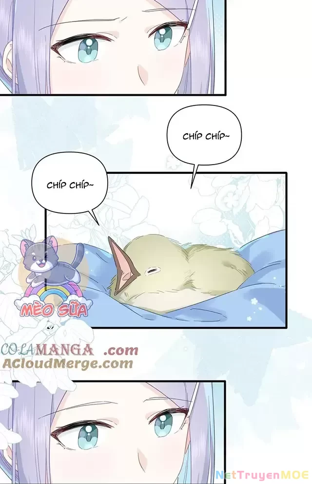 Tình Yêu Đã Cho Tôi Siêu Năng Lực Chapter 33 - 37