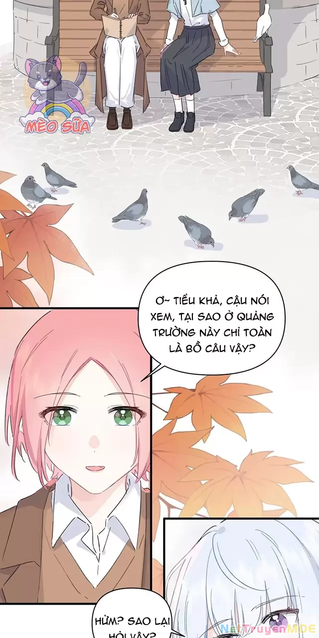 Tình Yêu Đã Cho Tôi Siêu Năng Lực Chapter 53 - 5