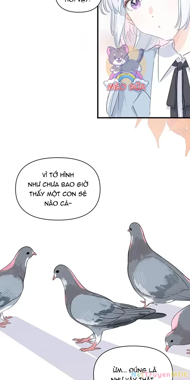 Tình Yêu Đã Cho Tôi Siêu Năng Lực Chapter 53 - 6