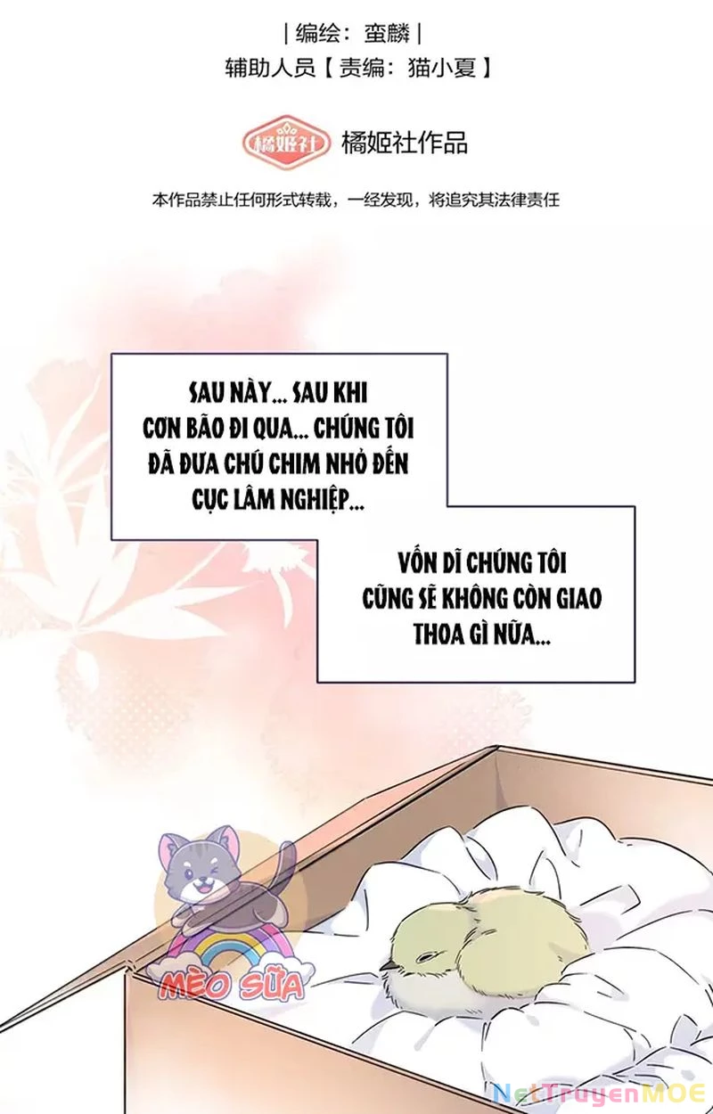 Tình Yêu Đã Cho Tôi Siêu Năng Lực Chapter 61 - 2