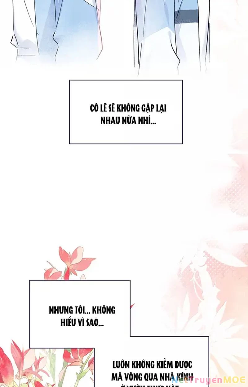 Tình Yêu Đã Cho Tôi Siêu Năng Lực Chapter 61 - 4