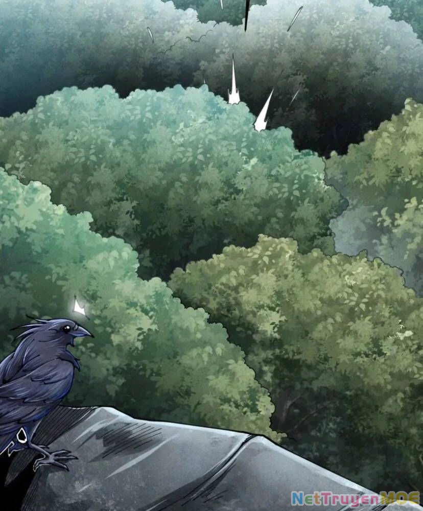 Mạt thế cầu sinh: Ta có thể nhìn thấy ẩn tàng hệ thống Chapter 145 - 53