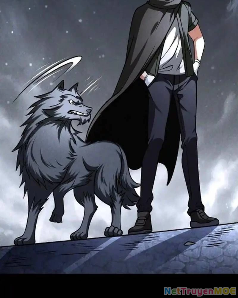 Mạt thế cầu sinh: Ta có thể nhìn thấy ẩn tàng hệ thống Chapter 151 - 43