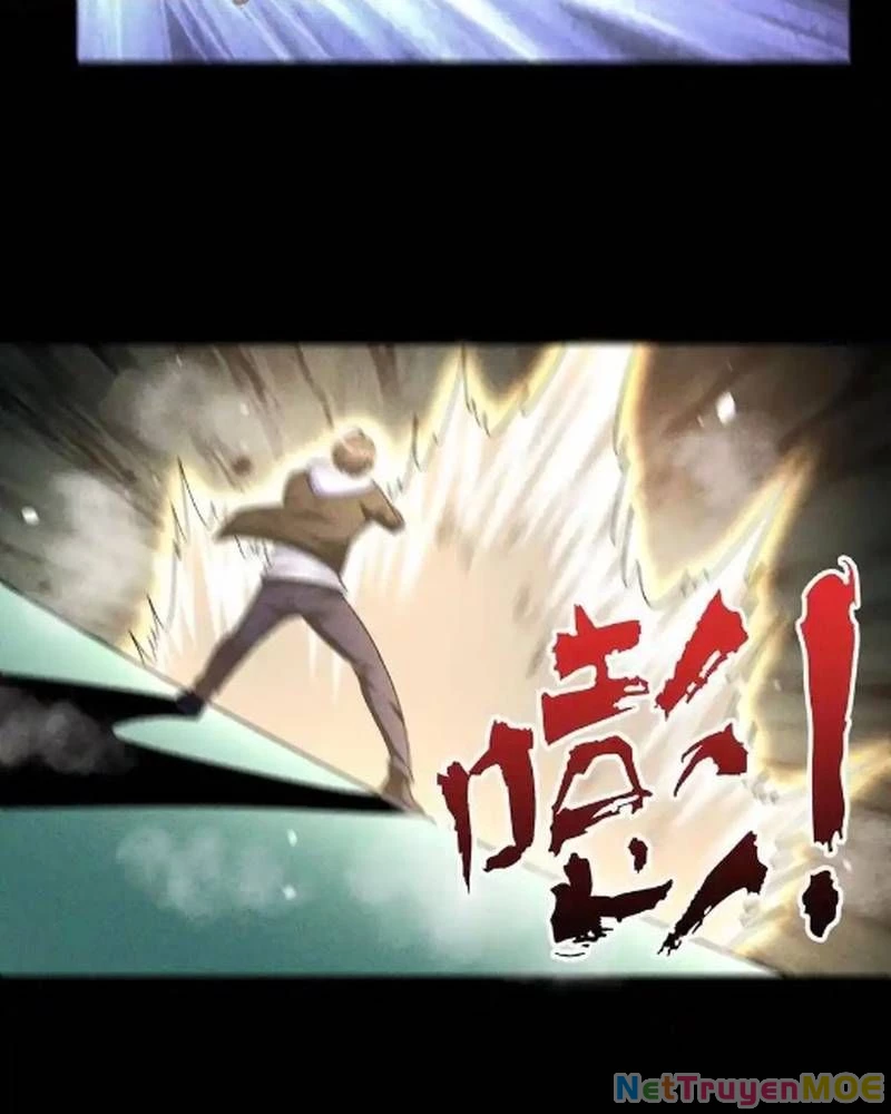 Mạt thế cầu sinh: Ta có thể nhìn thấy ẩn tàng hệ thống Chapter 155 - 17