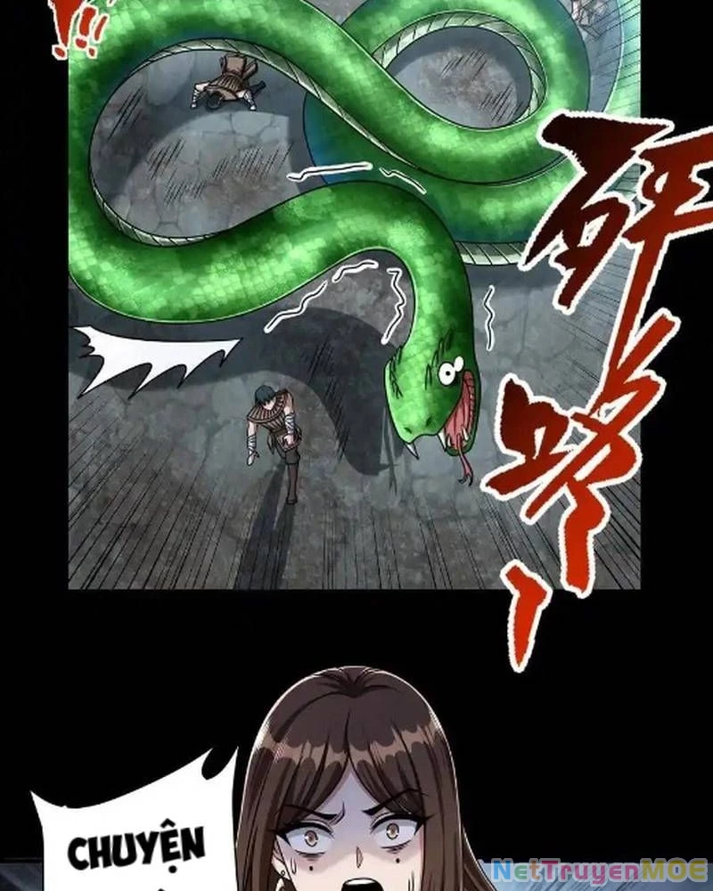 Mạt thế cầu sinh: Ta có thể nhìn thấy ẩn tàng hệ thống Chapter 168 - 12