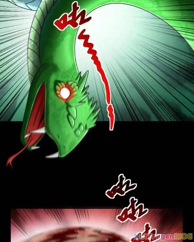 Mạt thế cầu sinh: Ta có thể nhìn thấy ẩn tàng hệ thống Chapter 168 - 14