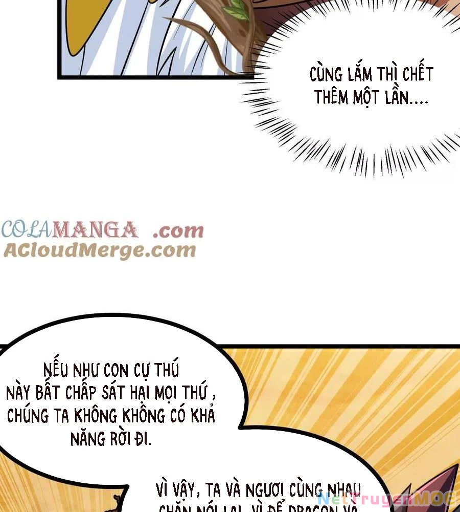 Thôn phệ đi, đại chùy hoa Chapter 62 - 12