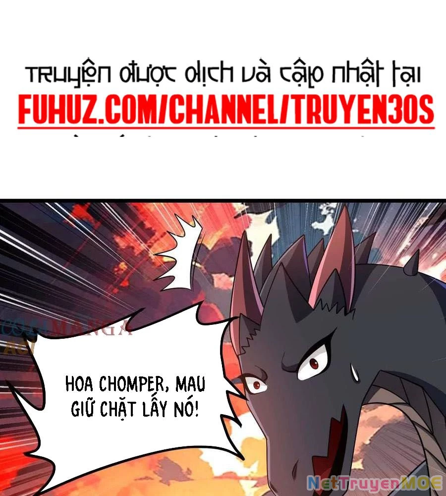 Thôn phệ đi, đại chùy hoa Chapter 63 - 4