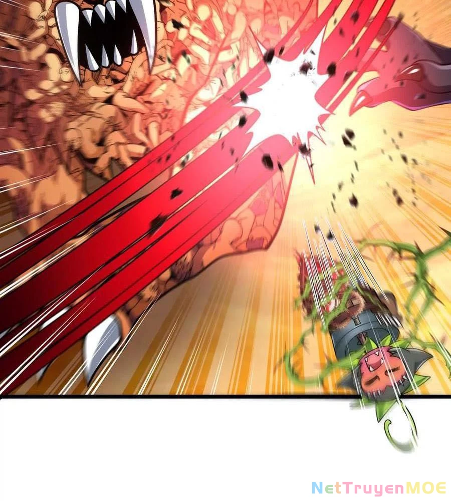 Thôn phệ đi, đại chùy hoa Chapter 63 - 10