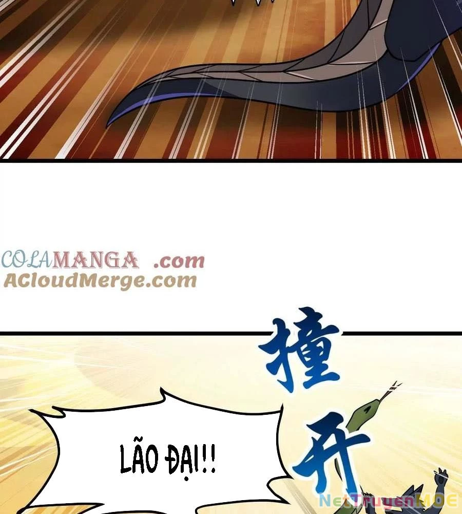 Thôn phệ đi, đại chùy hoa Chapter 63 - 17