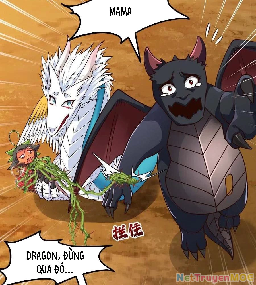Thôn phệ đi, đại chùy hoa Chapter 63 - 26