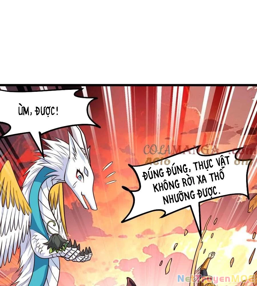 Thôn phệ đi, đại chùy hoa Chapter 63 - 32