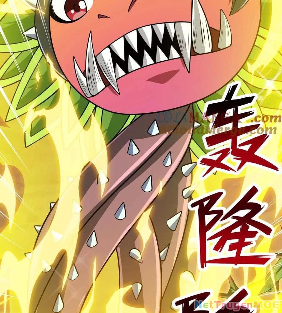 Thôn phệ đi, đại chùy hoa Chapter 63 - 47