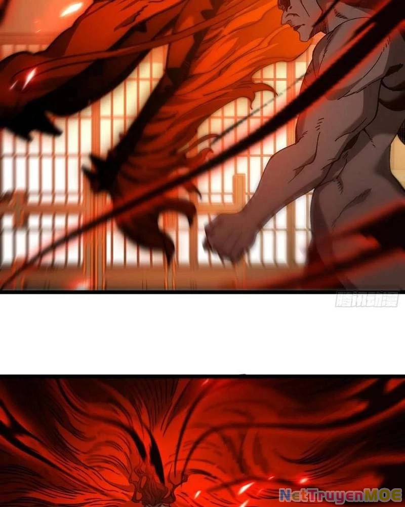 Ta Nhờ Đồ Đệ Kéo Dài Tính Mạng Chapter 41 - 13