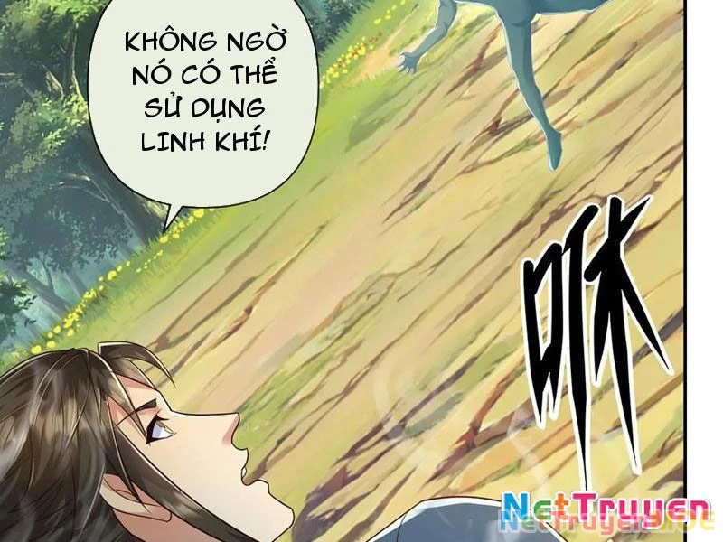 Ta Có Thể Đốn Ngộ Vô Hạn Chapter 247 - 11