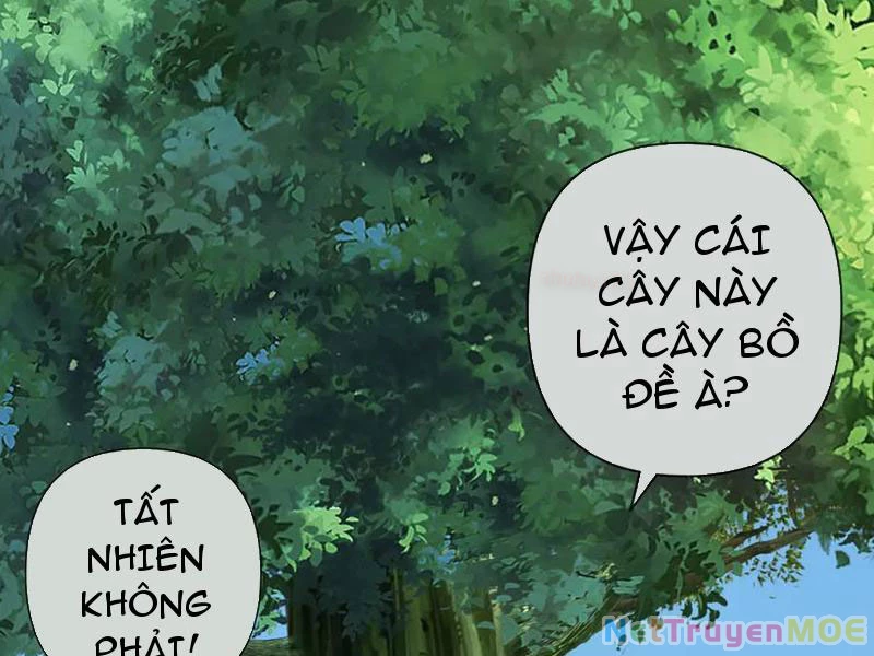 Ta Có Thể Đốn Ngộ Vô Hạn Chapter 247 - 29