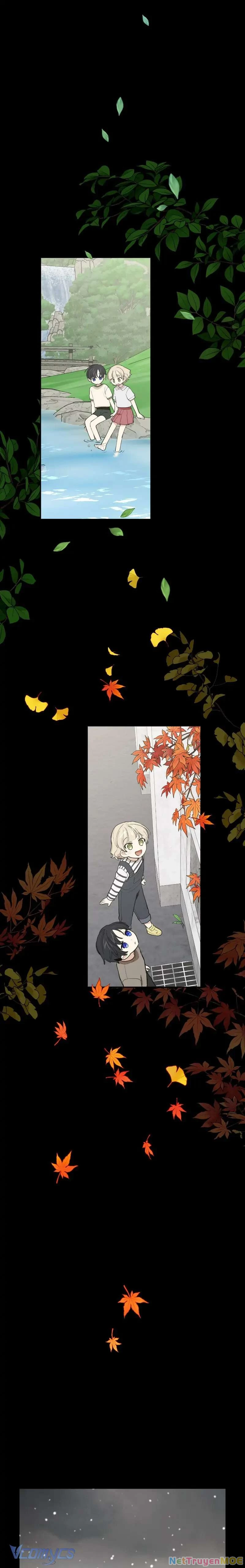 Điều Ước Sao Băng Chapter  38 - 13