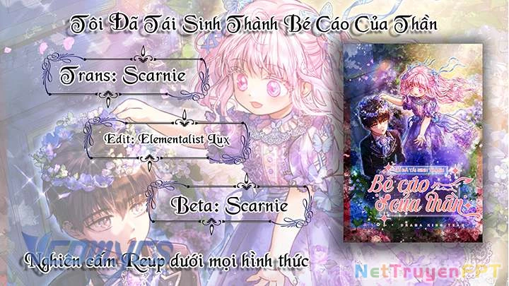 Tôi Đã Tái Sinh Thành Bé Cáo Của Thần Chapter 57 - 12