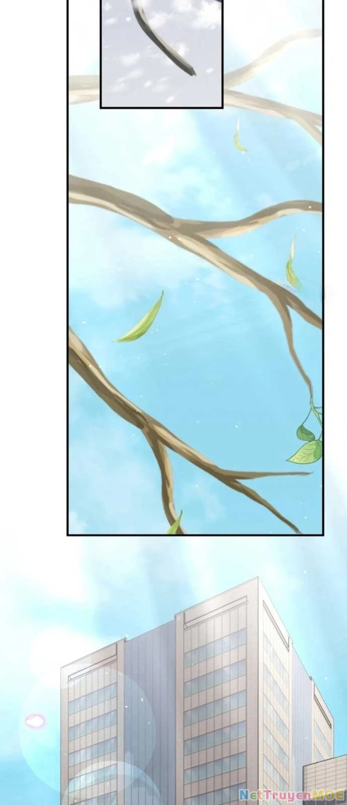 Tôi Sẽ Vực Dậy Gia Tộc Này Chapter 17 - 79
