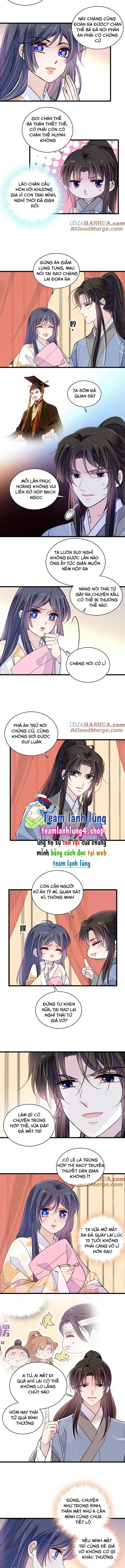 Tự Cẩm Chapter 245 - 3