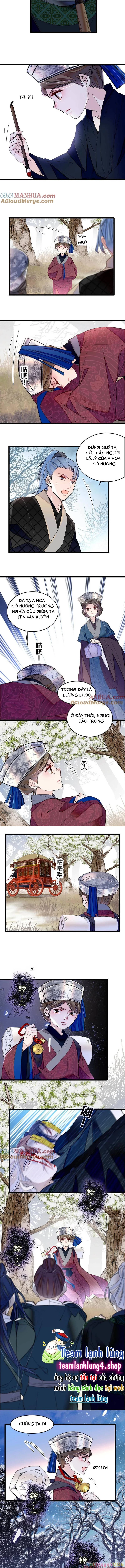 Tự Cẩm Chapter 284 - 3