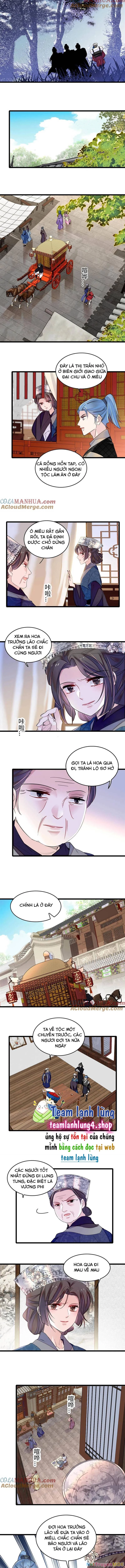 Tự Cẩm Chapter 284 - 4