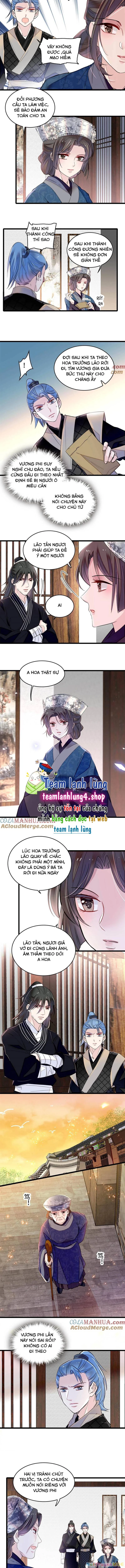 Tự Cẩm Chapter 284 - 5