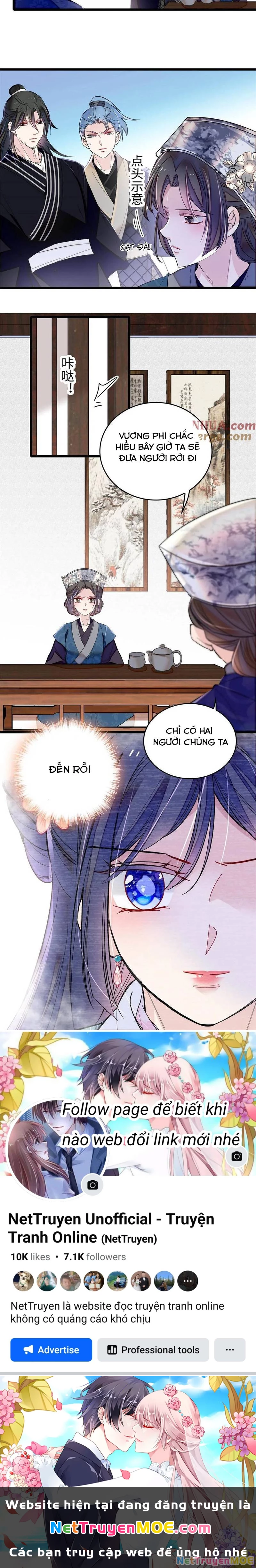 Tự Cẩm Chapter 284 - 6