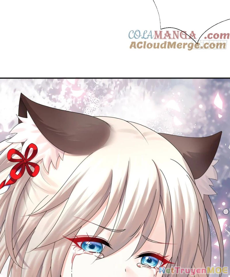 Ta biến thành miêu nương Chapter 22 - Trang 2