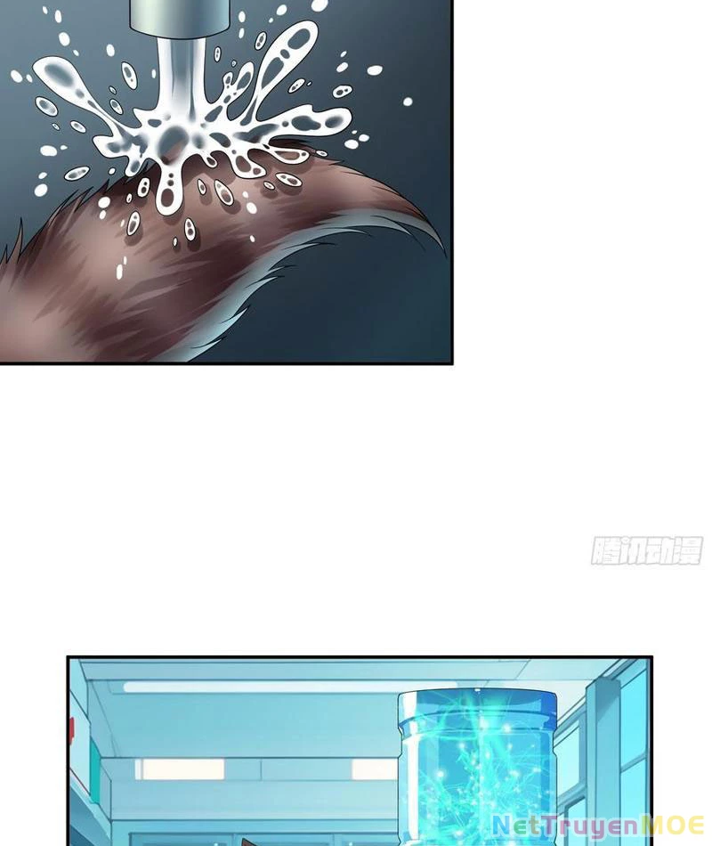 Ta biến thành miêu nương Chapter 24 - Trang 2