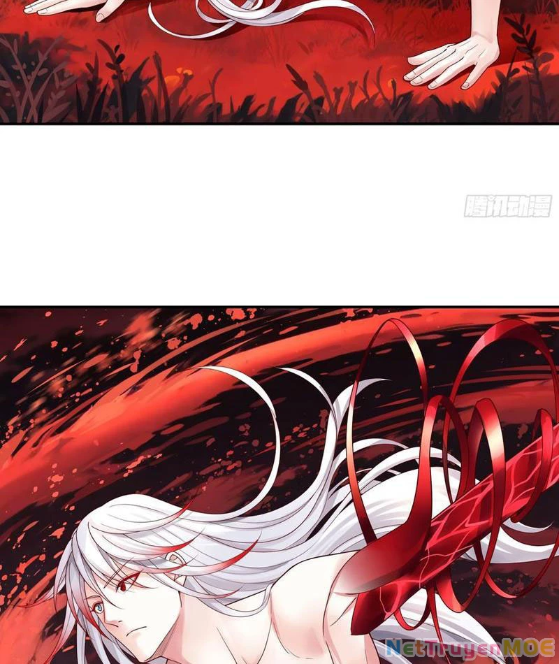 Ta biến thành miêu nương Chapter 24 - Trang 2