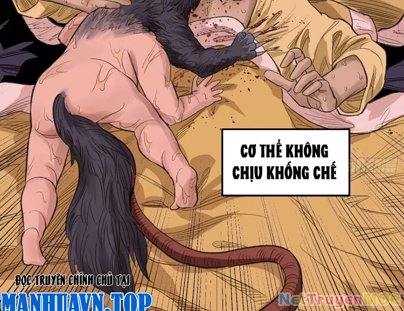 Về Nam Thiên Chapter 6 - 29