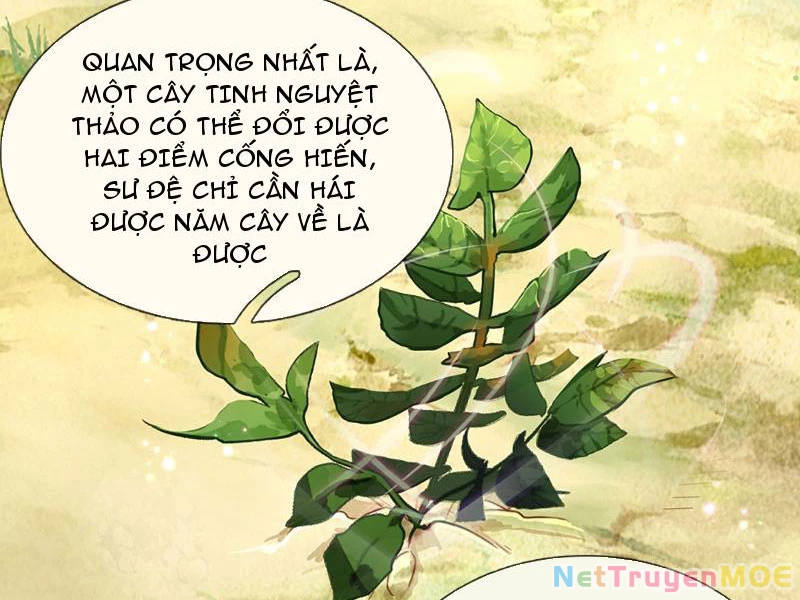 Khắc Đan Tu Tiên Cầu Trường Sinh Chapter 15 - 29