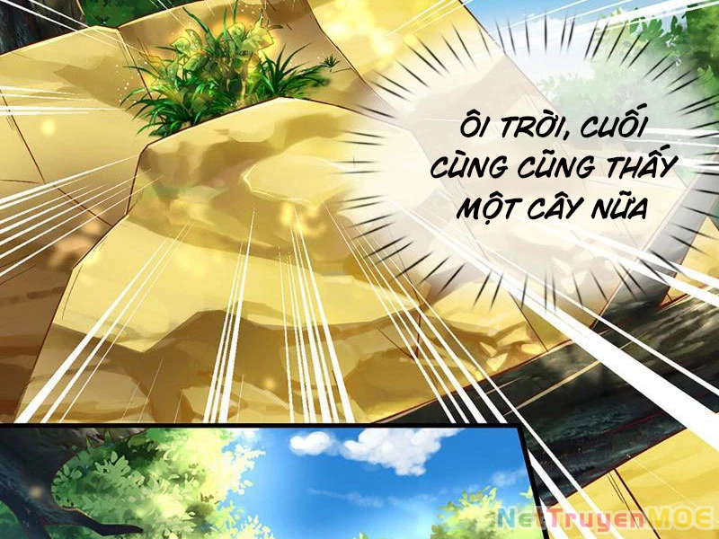 Khắc Đan Tu Tiên Cầu Trường Sinh Chapter 19 - 8