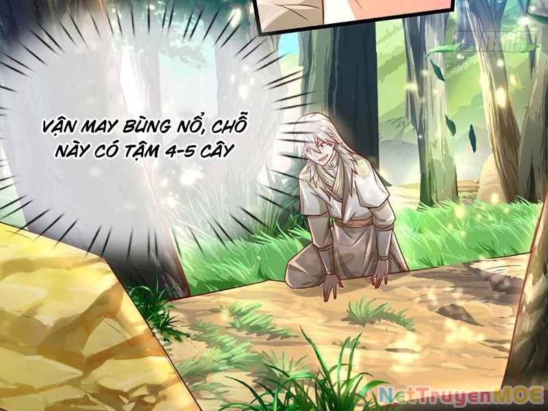 Khắc Đan Tu Tiên Cầu Trường Sinh Chapter 19 - 12