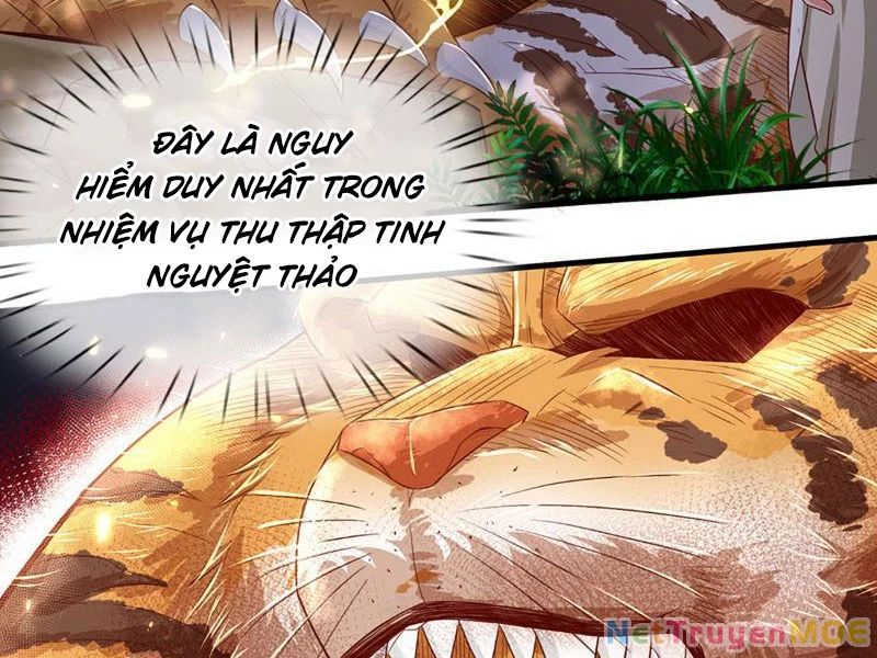 Khắc Đan Tu Tiên Cầu Trường Sinh Chapter 19 - 18